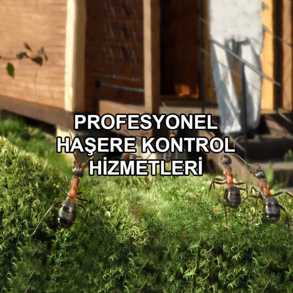 Slide background